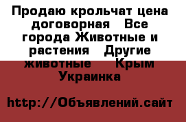 Продаю крольчат цена договорная - Все города Животные и растения » Другие животные   . Крым,Украинка